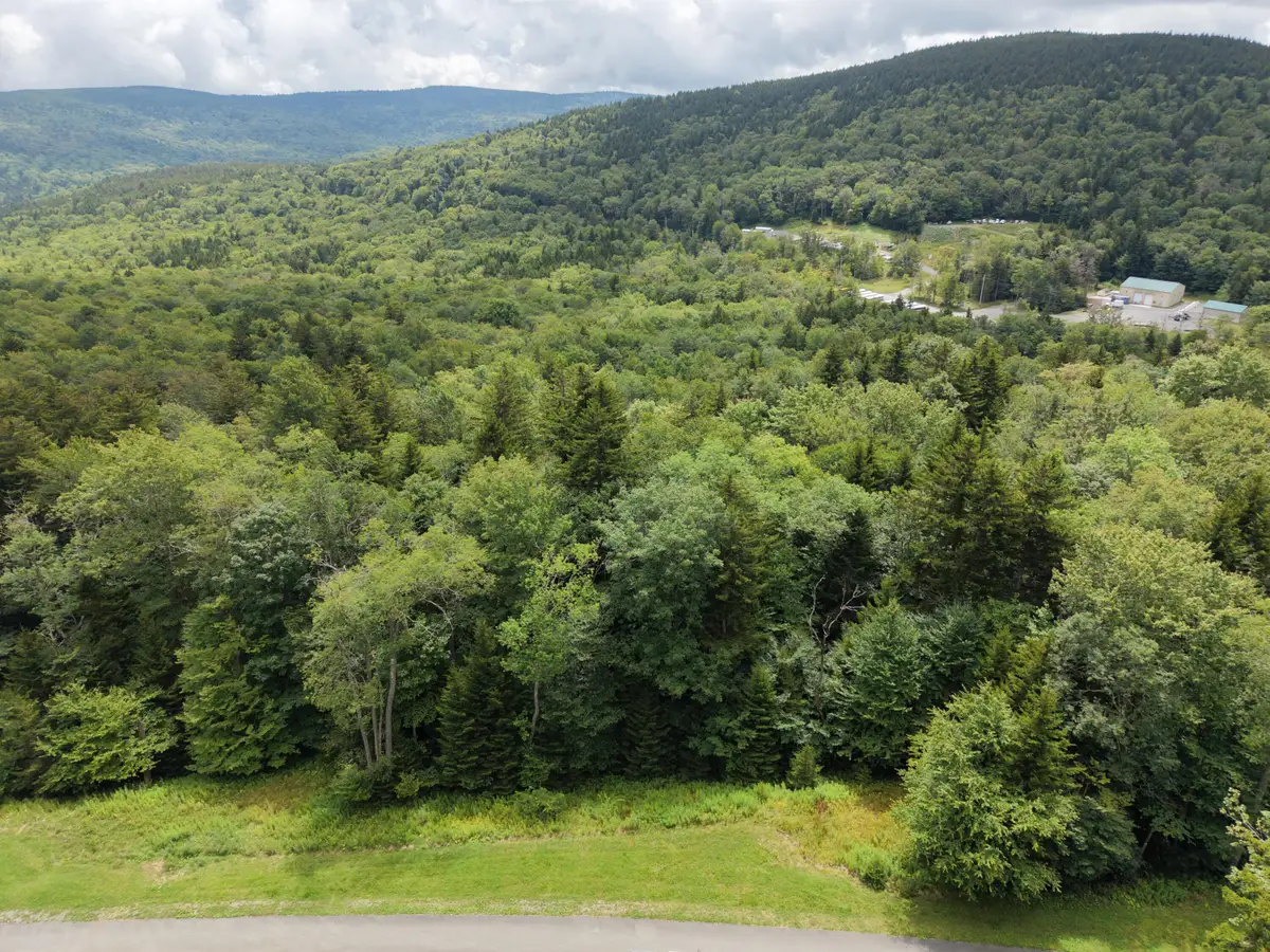 8 Silver Mountain, Snowshoe, WV 26209 - #1