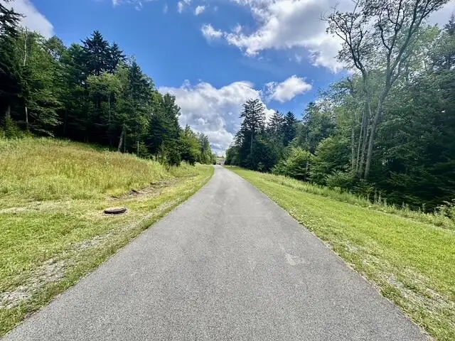 8 Silver Mountain, Snowshoe, WV 26209 - #3