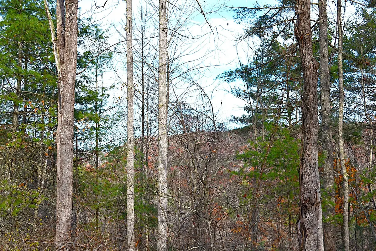 390 Joyful Way, Jumping Branch, WV 25969 - #1
