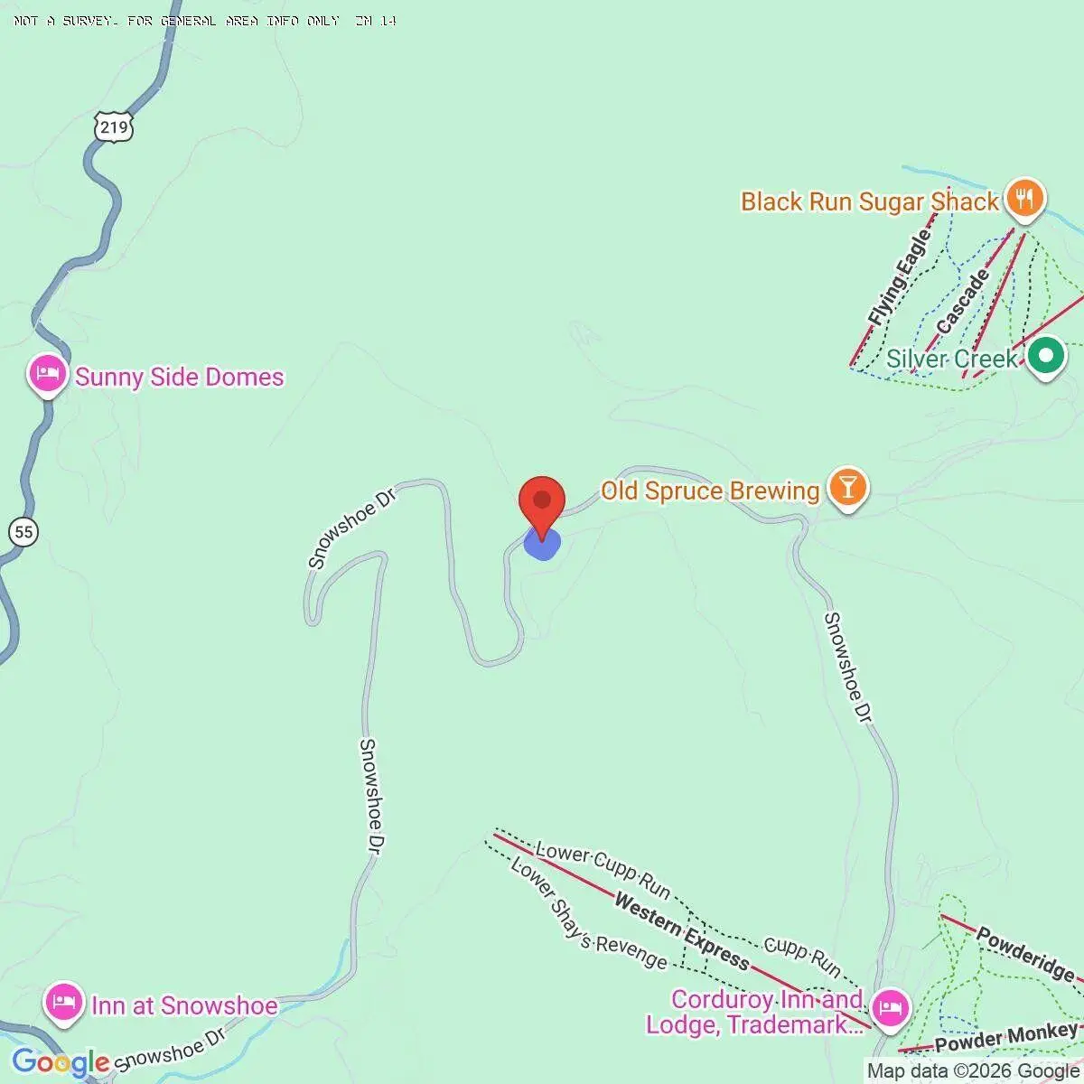 131 North Woods, Snowshoe, WV 26209 - #1