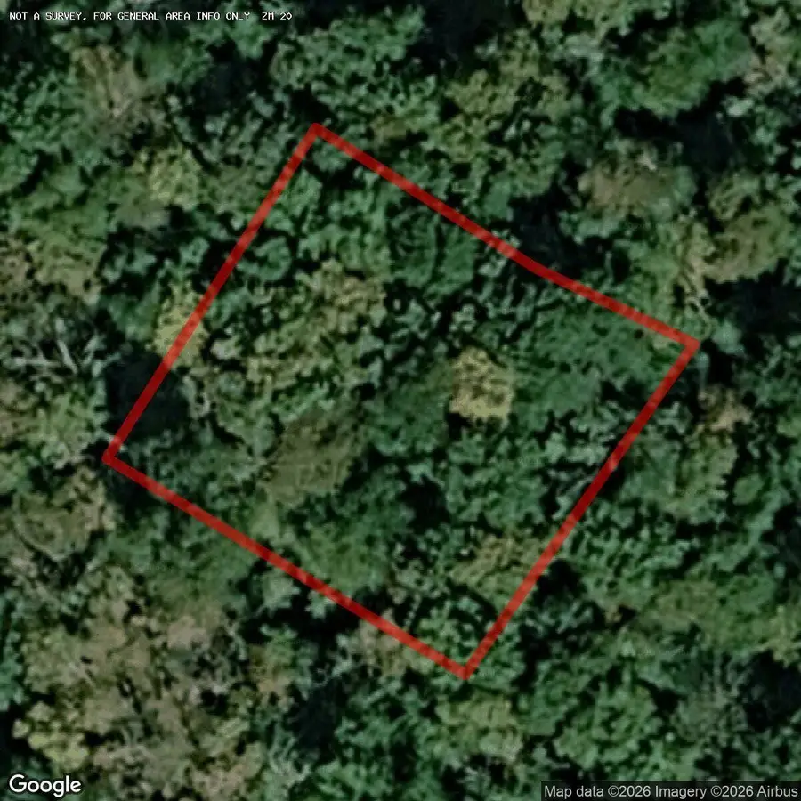 131 North Woods, Snowshoe, WV 26209 - #3