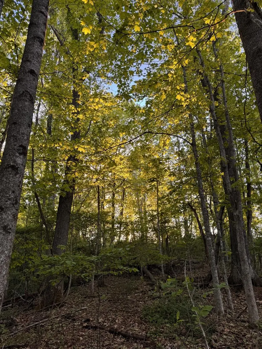 537 Fair St, Ronceverte, WV 24970 - #3