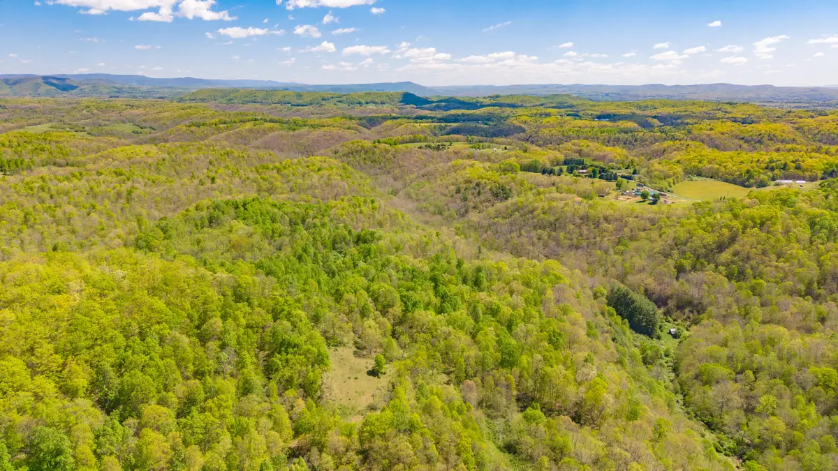2465 Chestnut Flats Rd, Lewisburg, WV 24901 - #1