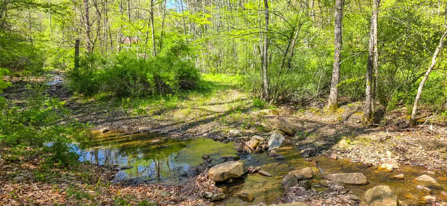 2465 Chestnut Flats Rd, Lewisburg, WV 24901 - #3