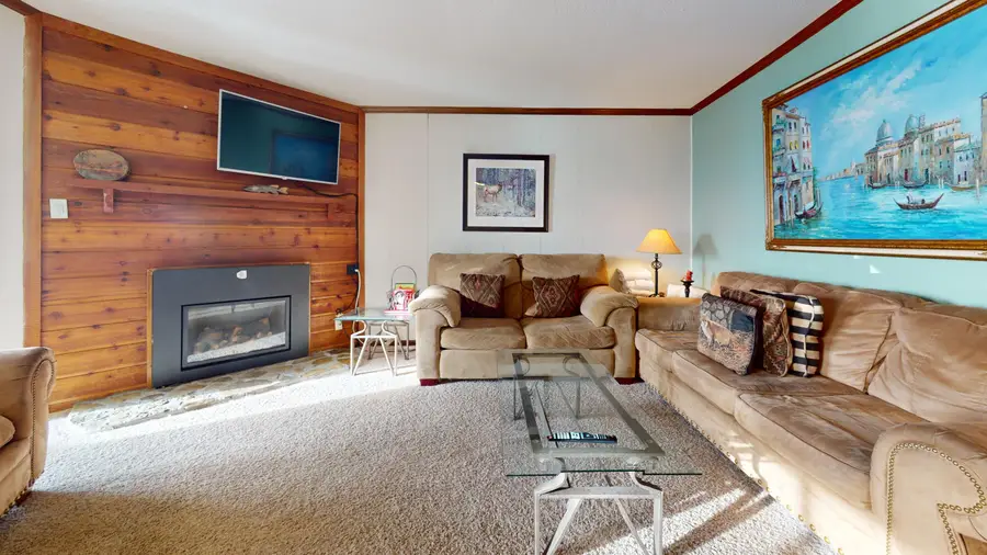 203 B Summit Drive, Snowshoe, WV 26209 - Image #2