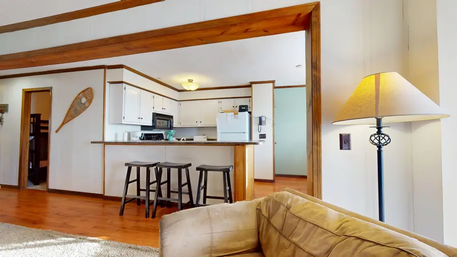 203 B Summit Drive, Snowshoe, WV 26209 - Image #3