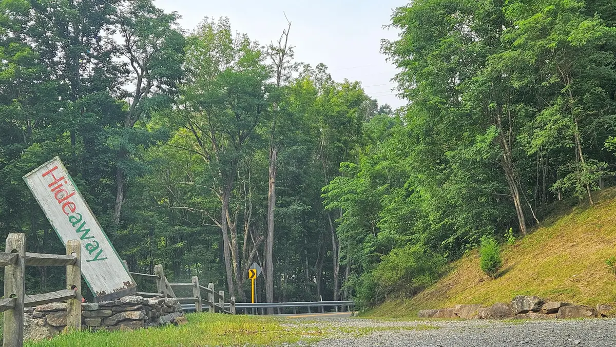 Lot 2 Hideaway Trl, Snowshoe, WV 26209 - #1