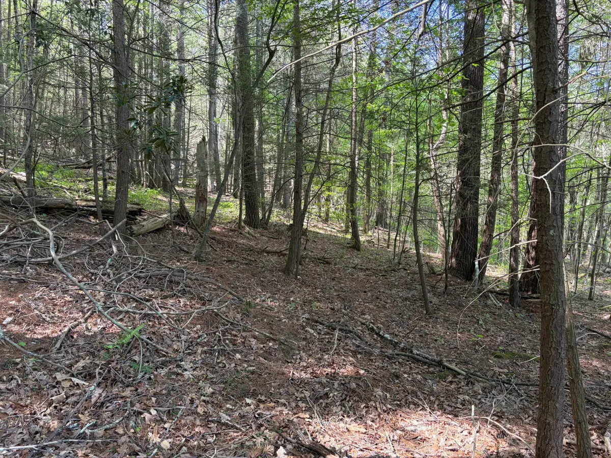 Lot 15 Pocahontas Trail, White Sulphur Springs, WV 24986 - #1