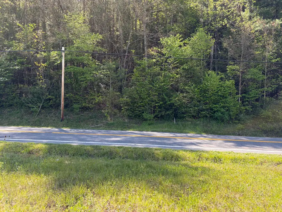 Lot 15 Pocahontas Trail, White Sulphur Springs, WV 24986 - #3
