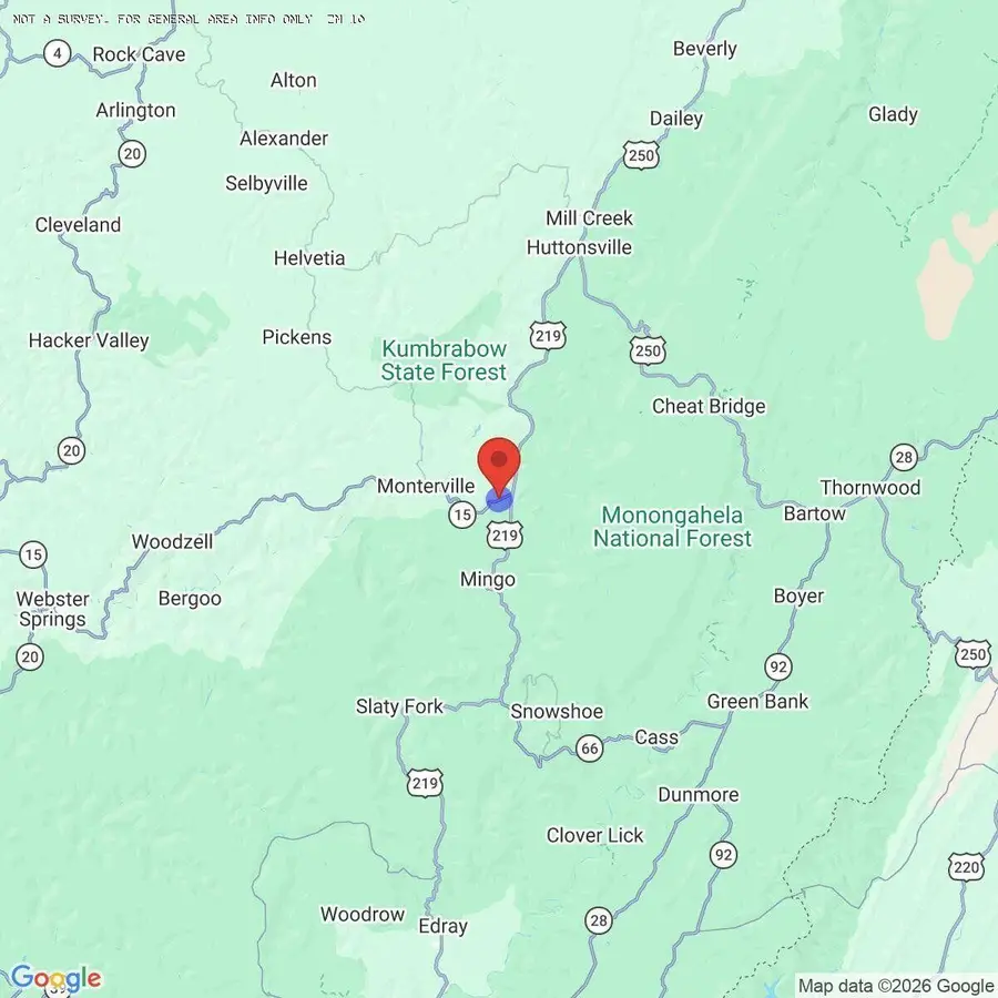 715 Dry Ridge Rd, Valley Head, WV 26294 - #3