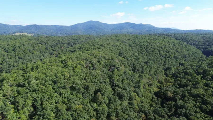 350 Sanford Boggs Dr, Marlinton, WV 24954 - #2