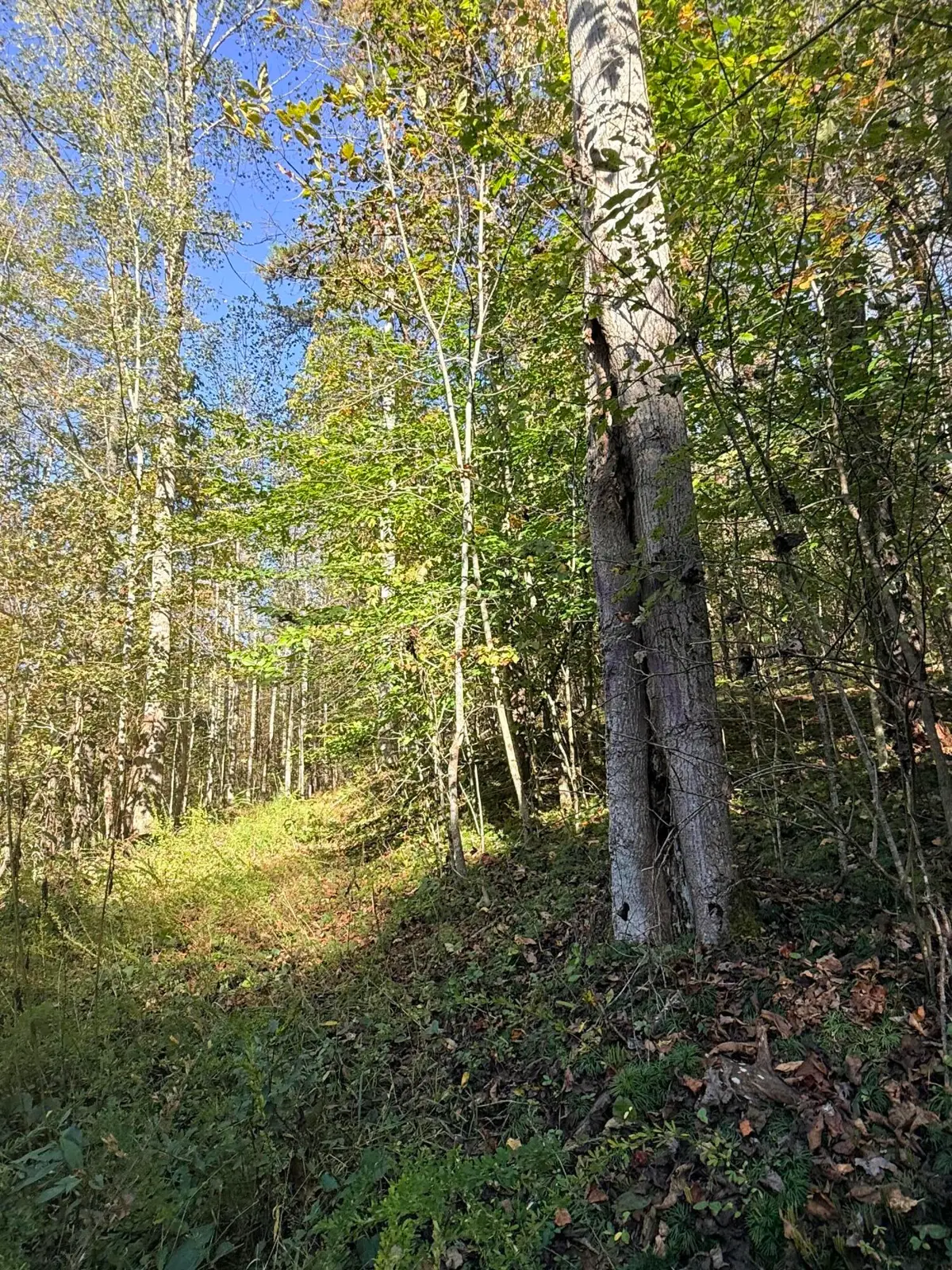 Eatons Chapel, Staffordsville, VA 24167 - #1