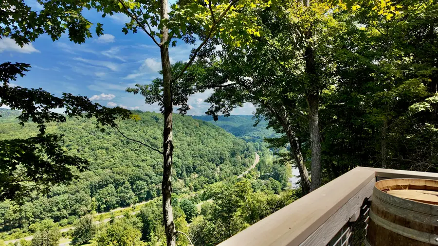 832 Palla Fair Rd, Ronceverte, WV 24970 - #3