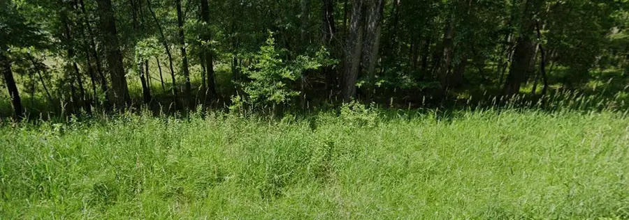 Gray Gable Road, Crawley, WV 24931 - #2