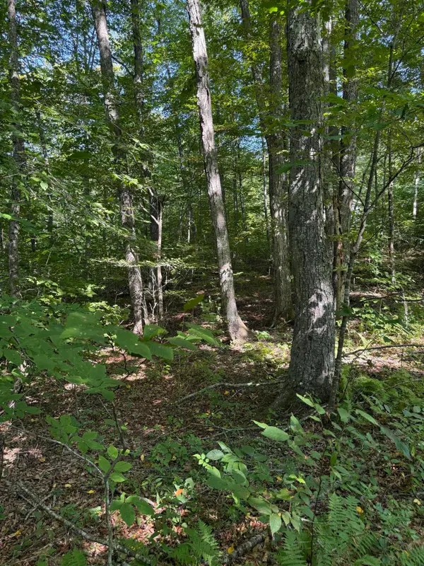 Thompson Road, Hillsboro, WV 24946