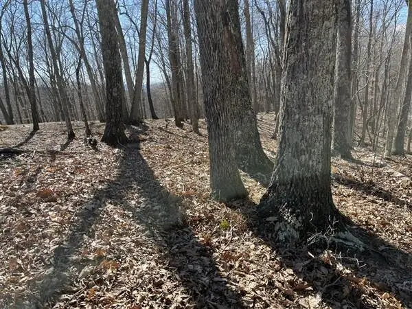 Lot 145 Withrow Landing, Caldwell, WV 24925 - #2