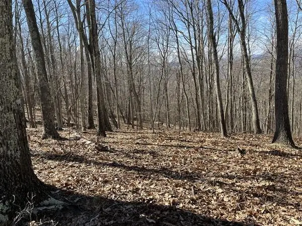 Lot 145 Withrow Landing, Caldwell, WV 24925 - #3