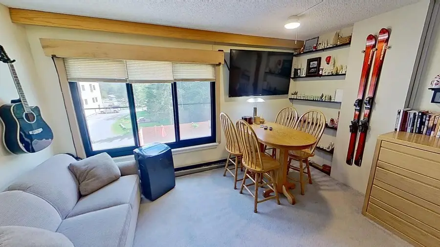 1103 Silver Creek Lodge, Snowshoe, WV 26209 - #3