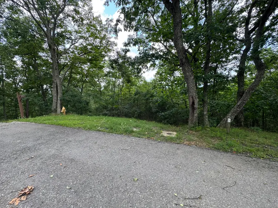 White Rock Trail, Caldwell, WV 24925 - #2