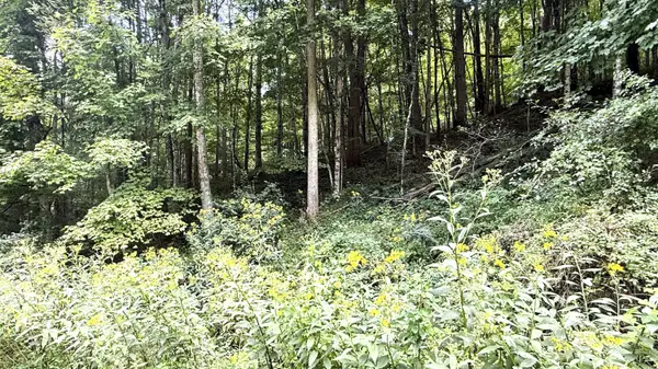 Little Mountain Drive, Hillsboro, WV 24946