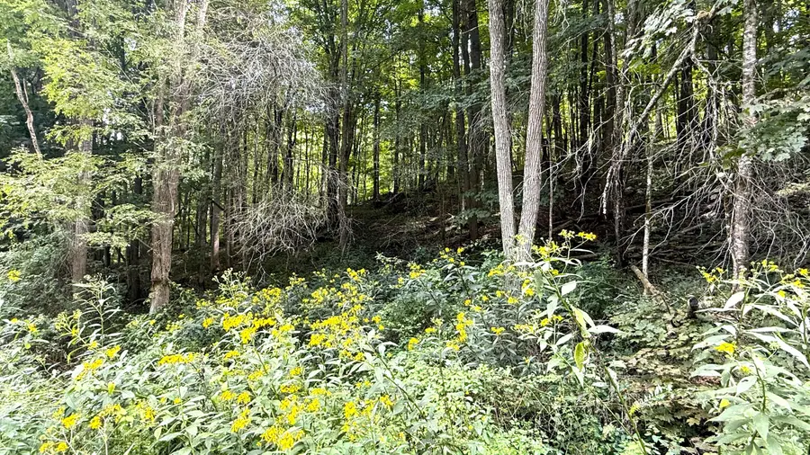 Little Mountain Drive, Hillsboro, WV 24946 - #2