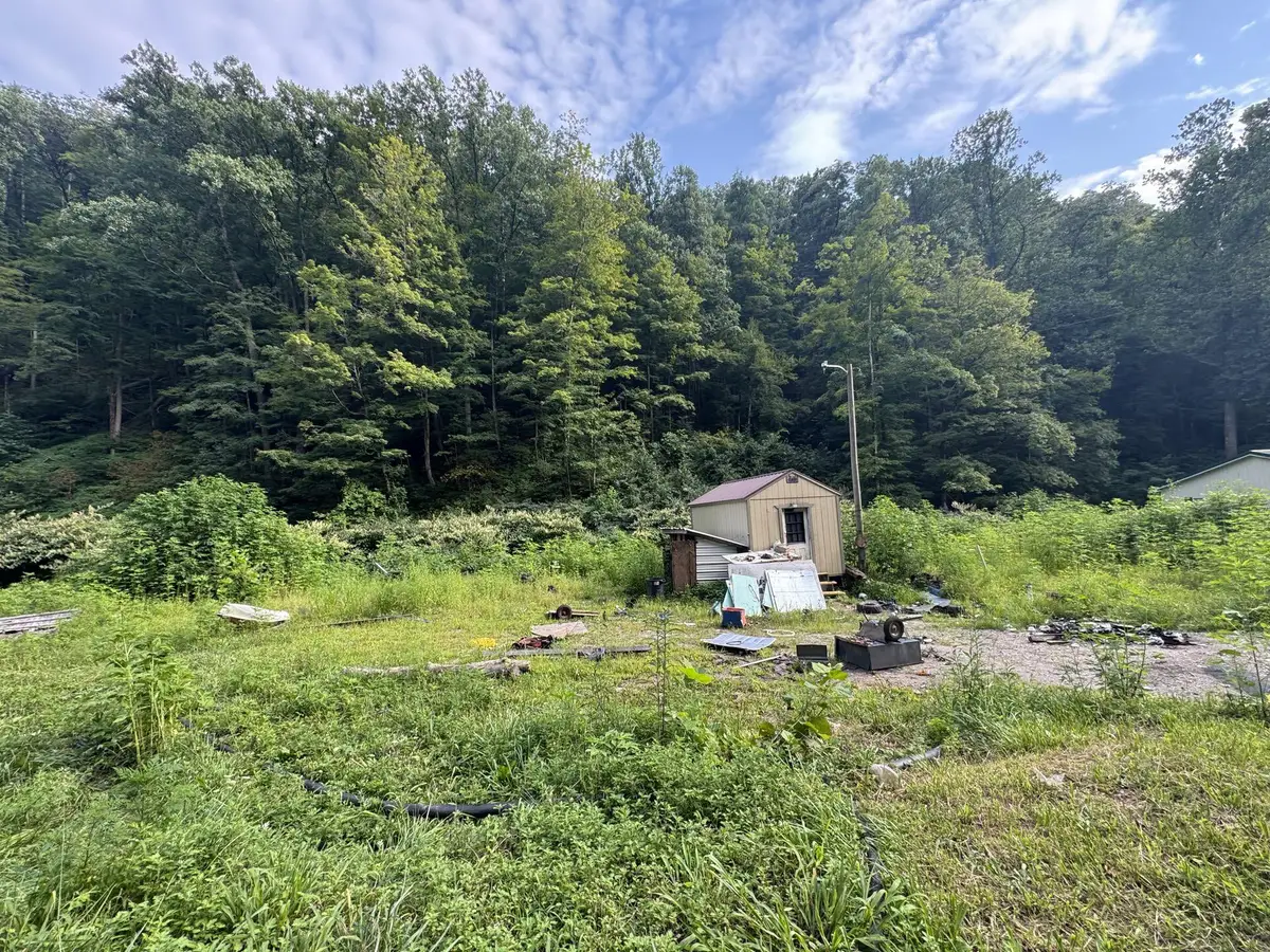 1668 Dry Branch Rd, Drybranch, WV 25061 - #1