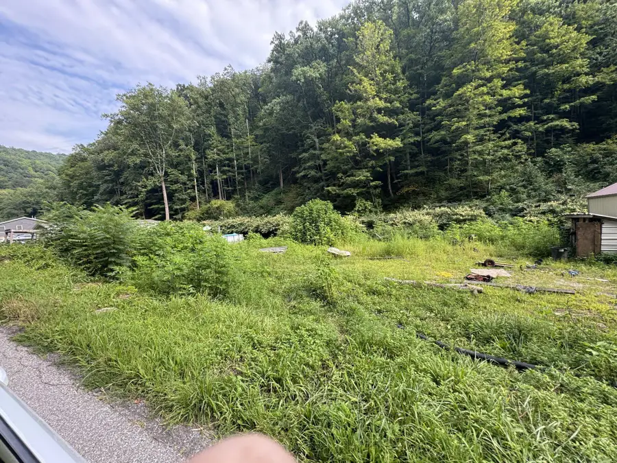 1668 Dry Branch Rd, Drybranch, WV 25061 - #2