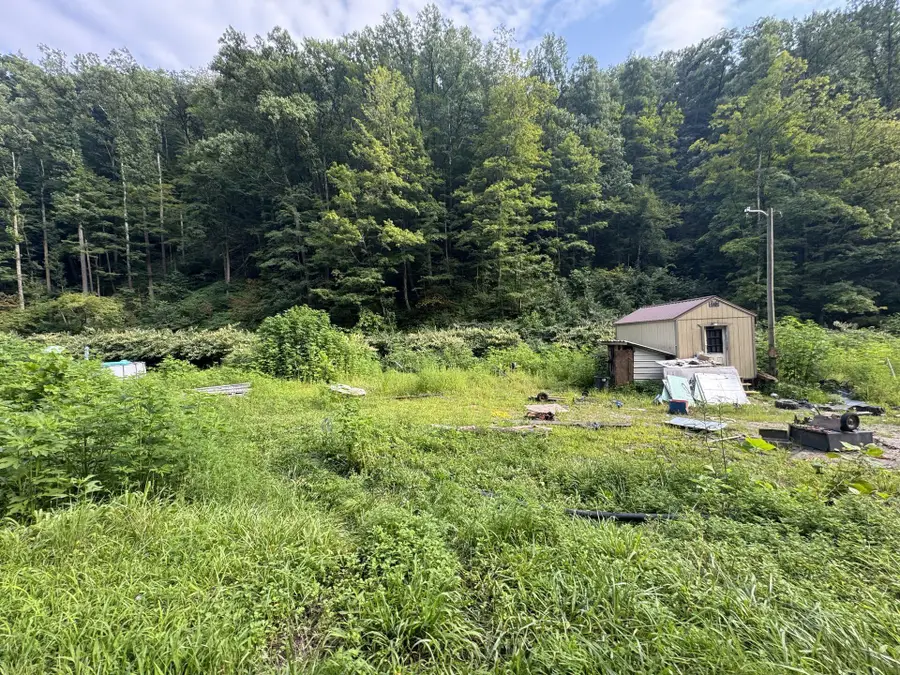 1668 Dry Branch Rd, Drybranch, WV 25061 - #3