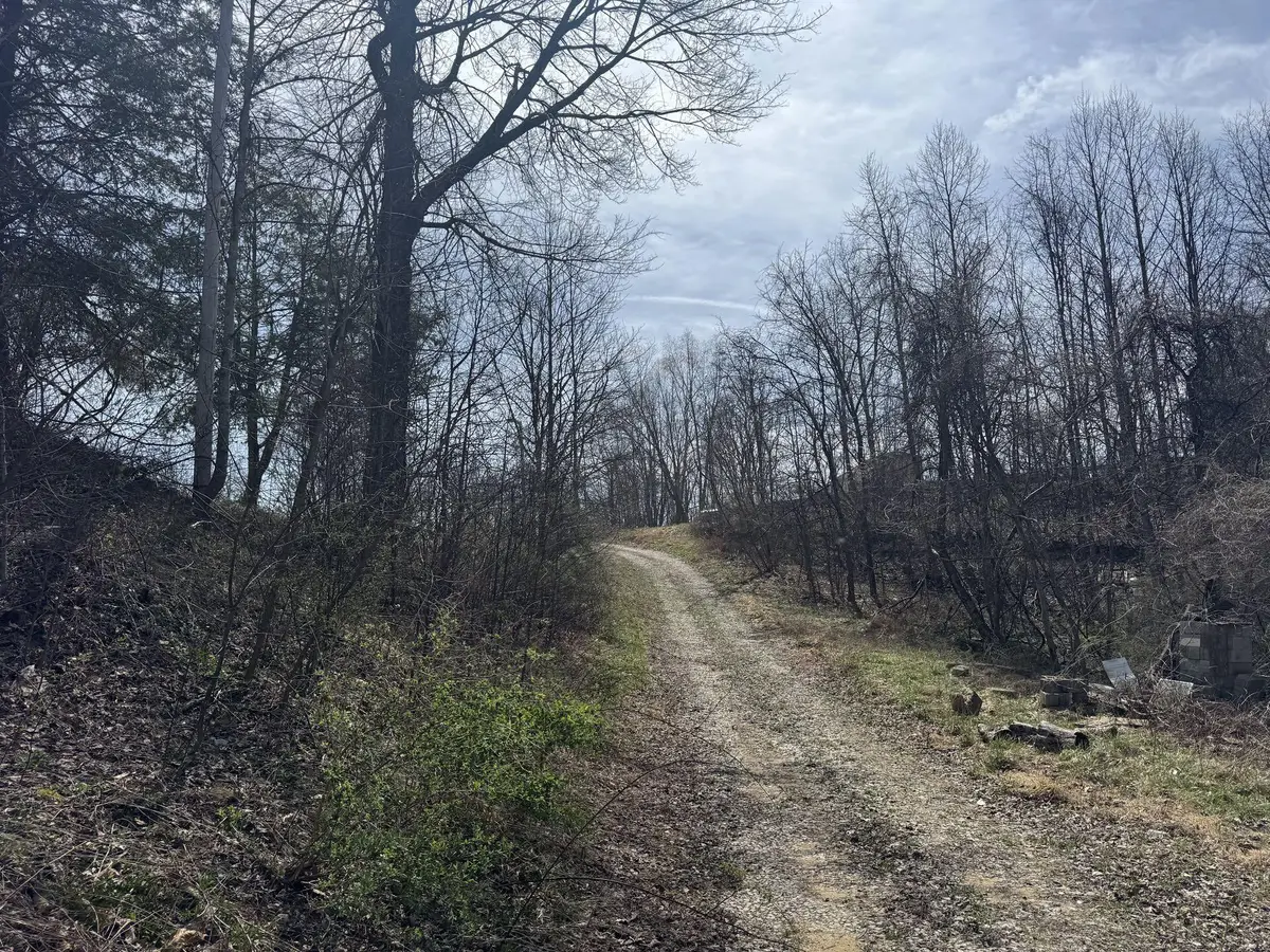25 Osborne Ln, Seth, WV 25181 - #1
