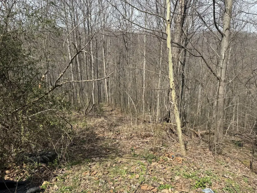 25 Osborne Ln, Seth, WV 25181 - #2