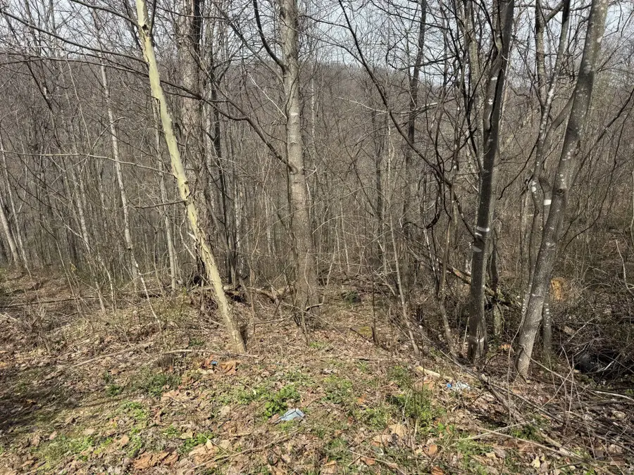 25 Osborne Ln, Seth, WV 25181 - #3