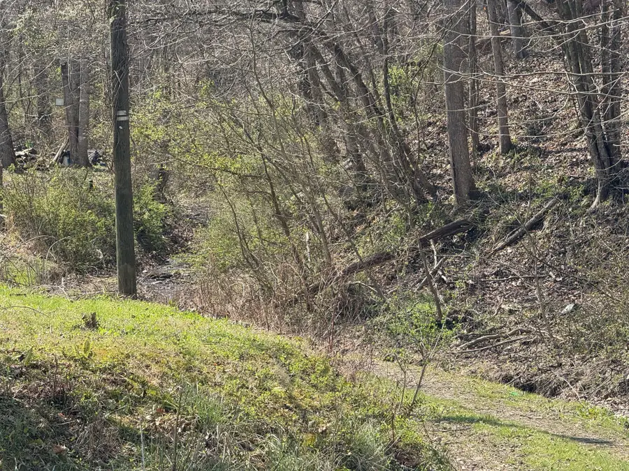 7665 Emmons Rd, Ashford, WV 25009 - #3