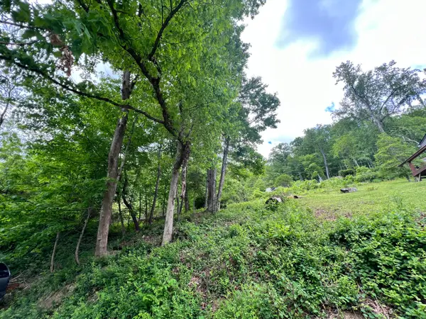 Hill, Gauley Bridge, WV 25085