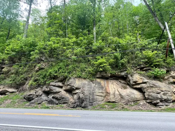 Gauley River Road (rt 39/rt16), Alta, WV 25085