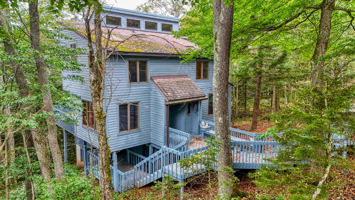 1020 N Westridge Rd, Snowshoe, WV 26291 - #1