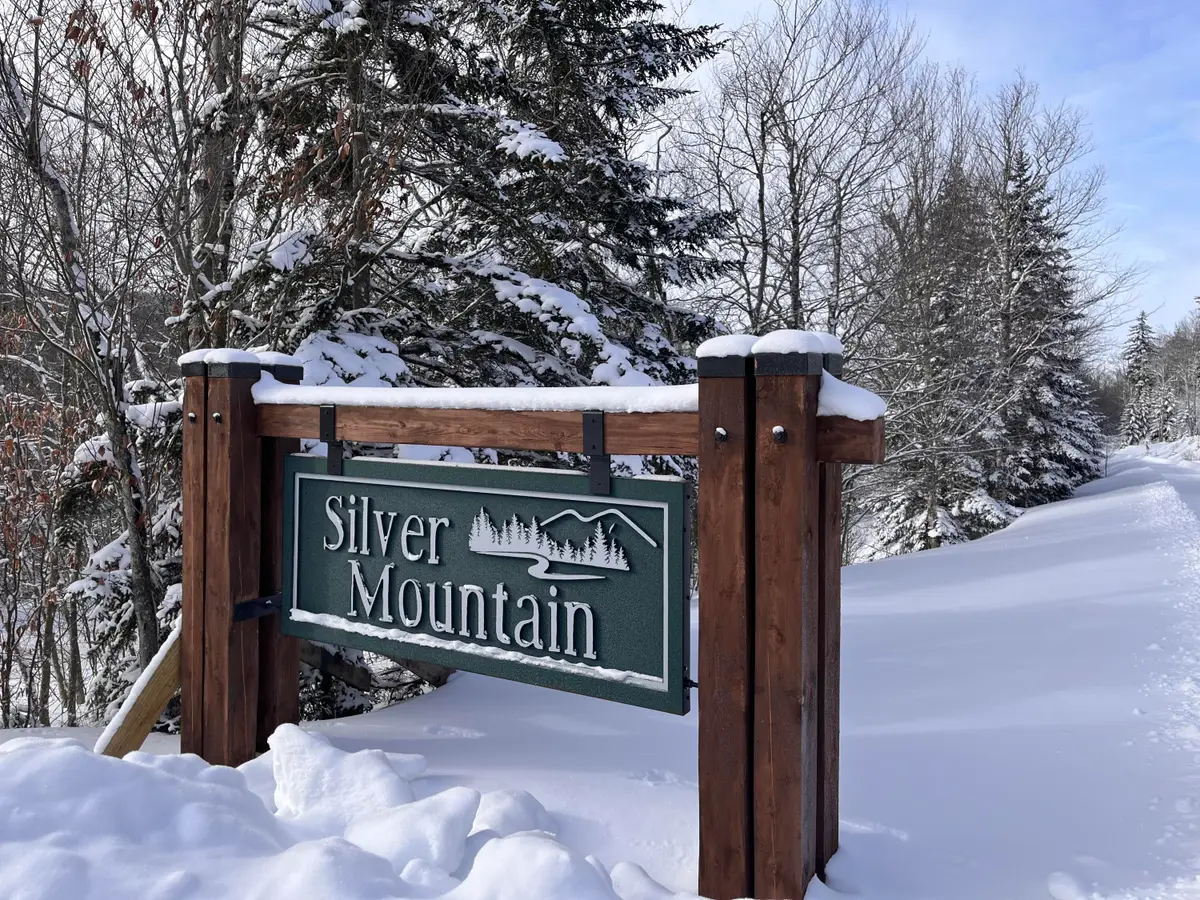 25 West Virginia Way, Snowshoe, WV 26209 - Image #1