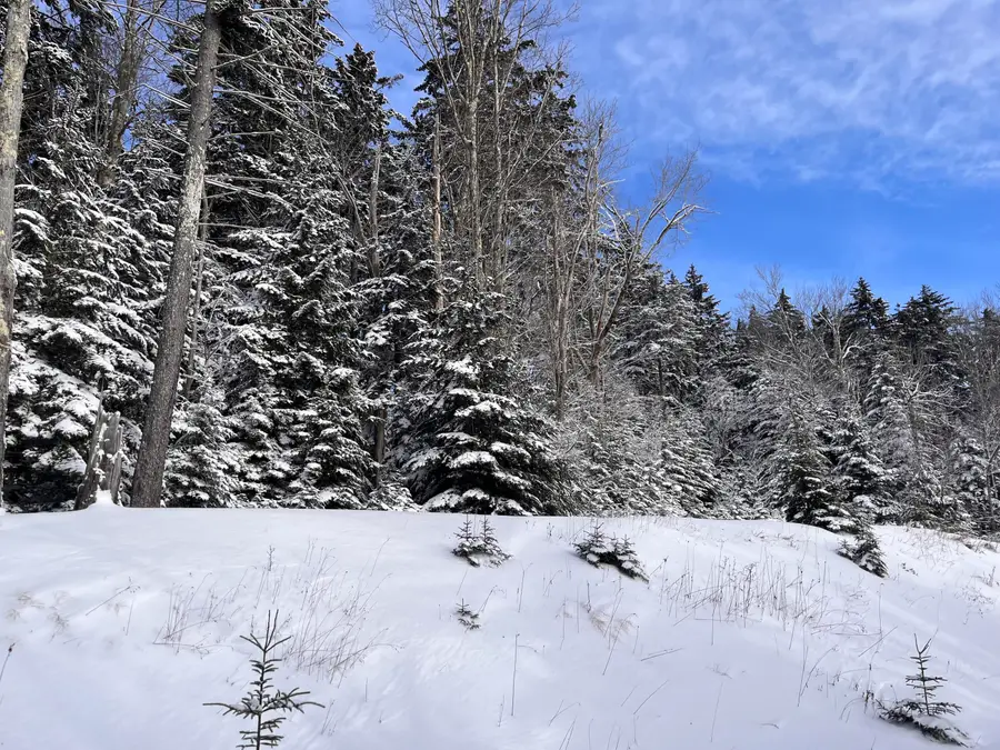 25 West Virginia Way, Snowshoe, WV 26209 - Image #3