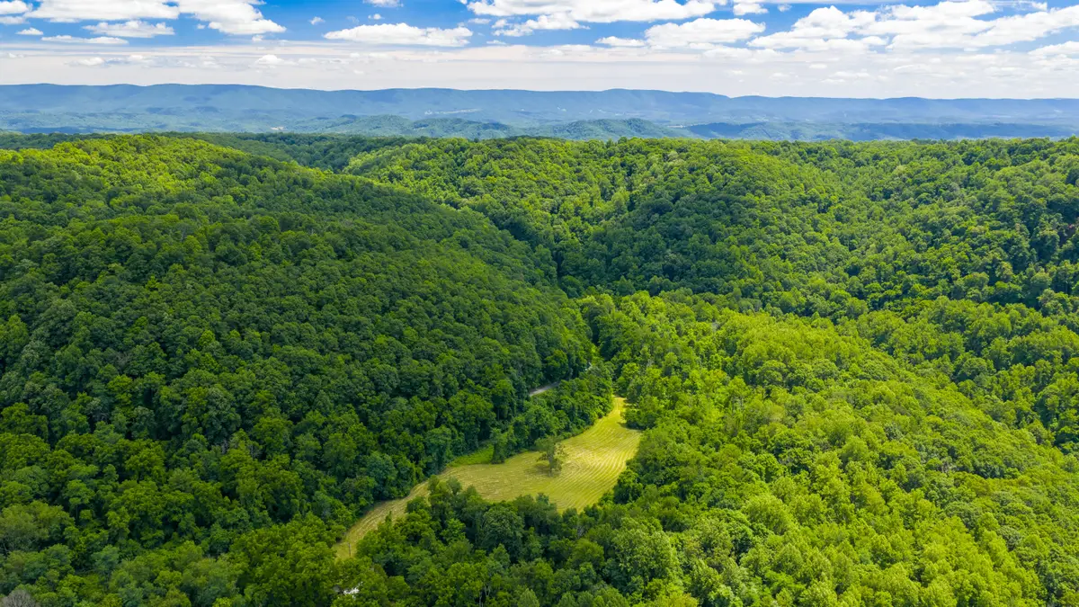 2673 Raines Rd, Central, WV 24983 - #1