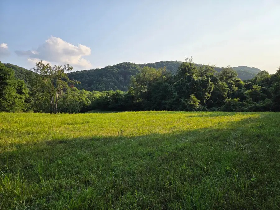 2673 Raines Rd, Central, WV 24983 - #3
