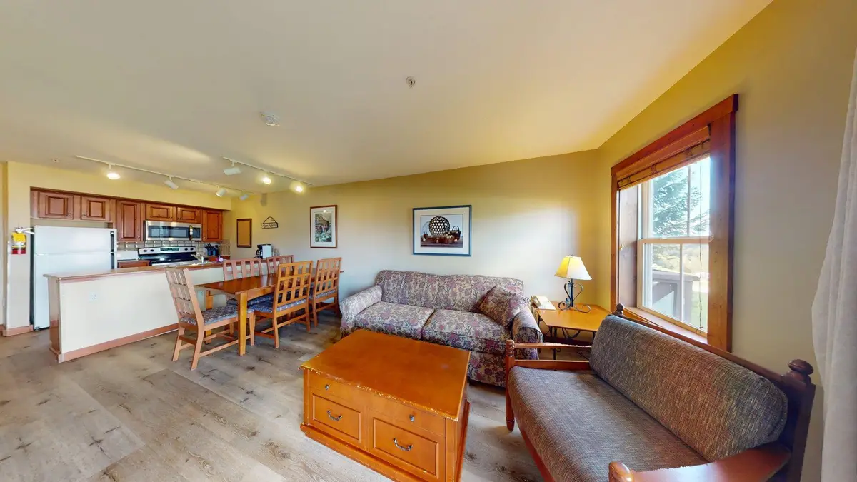 117 Highland House, Snowshoe, WV 26209 - #1