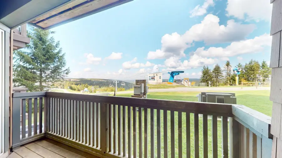 117 Highland House, Snowshoe, WV 26209 - #2