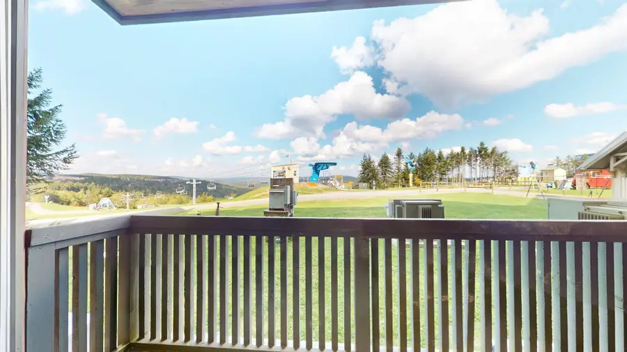 117 Highland House, Snowshoe, WV 26209 - #3