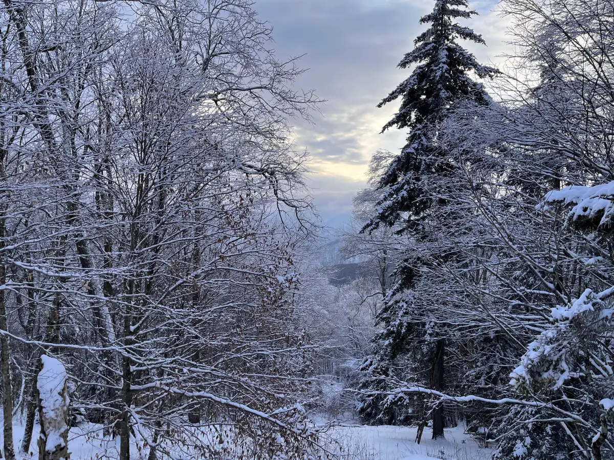 448 N Westridge Road, Snowshoe, WV 26209 - Image #1