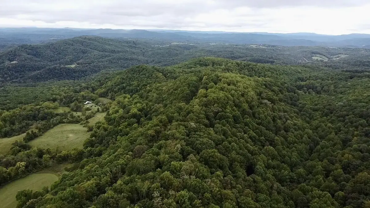 Sarton-wayside Rd., Wayside, WV 24985 - #1