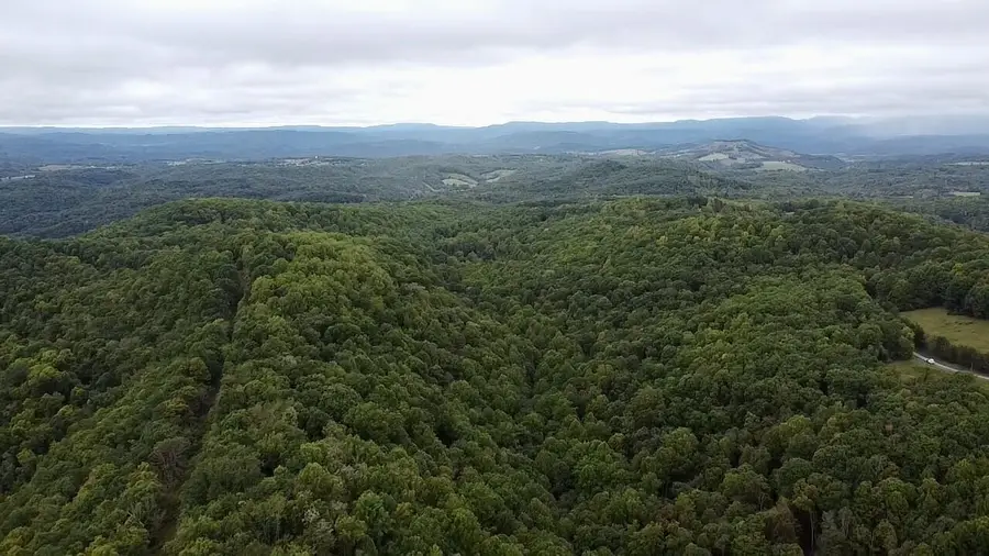 Sarton-wayside Rd., Wayside, WV 24985 - #3