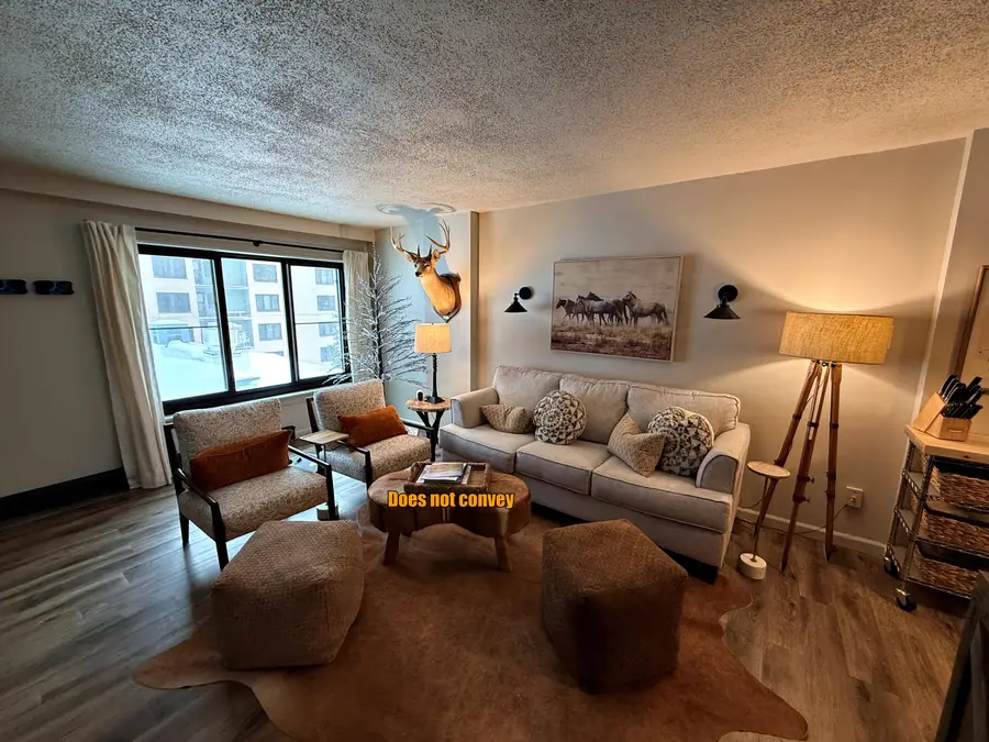 2301 Silver Creek, Snowshoe, WV 26209 - Image #2