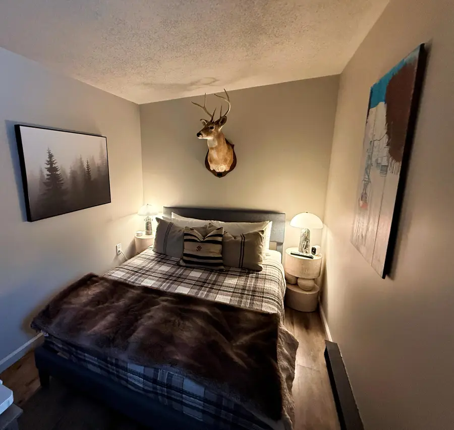 2301 Silver Creek, Snowshoe, WV 26209 - Image #3