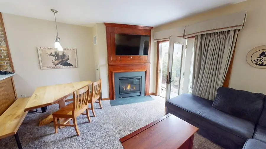 137 Allegheny Springs Ln, Snowshoe, WV 26209 - #2