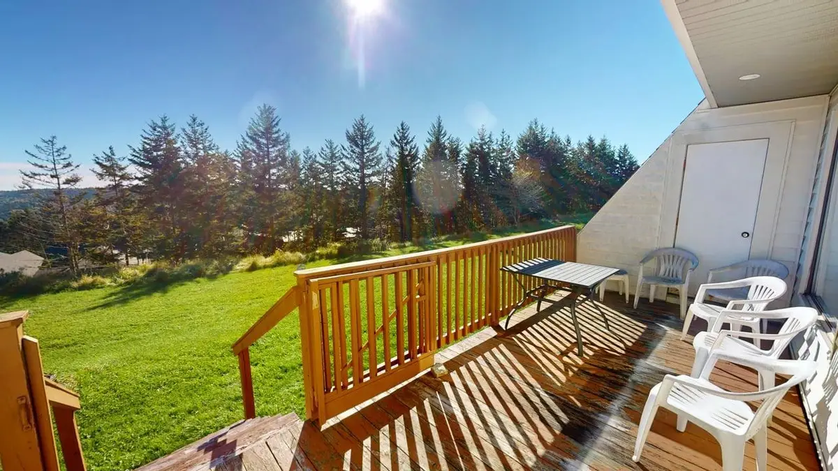 101b Leatherbark, Snowshoe, WV 26209 - #1