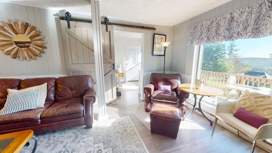 101b Leatherbark, Snowshoe, WV 26209 - #3